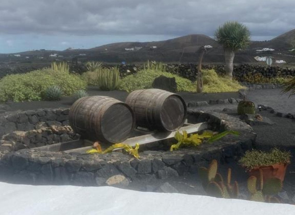 La cantina El Grifo