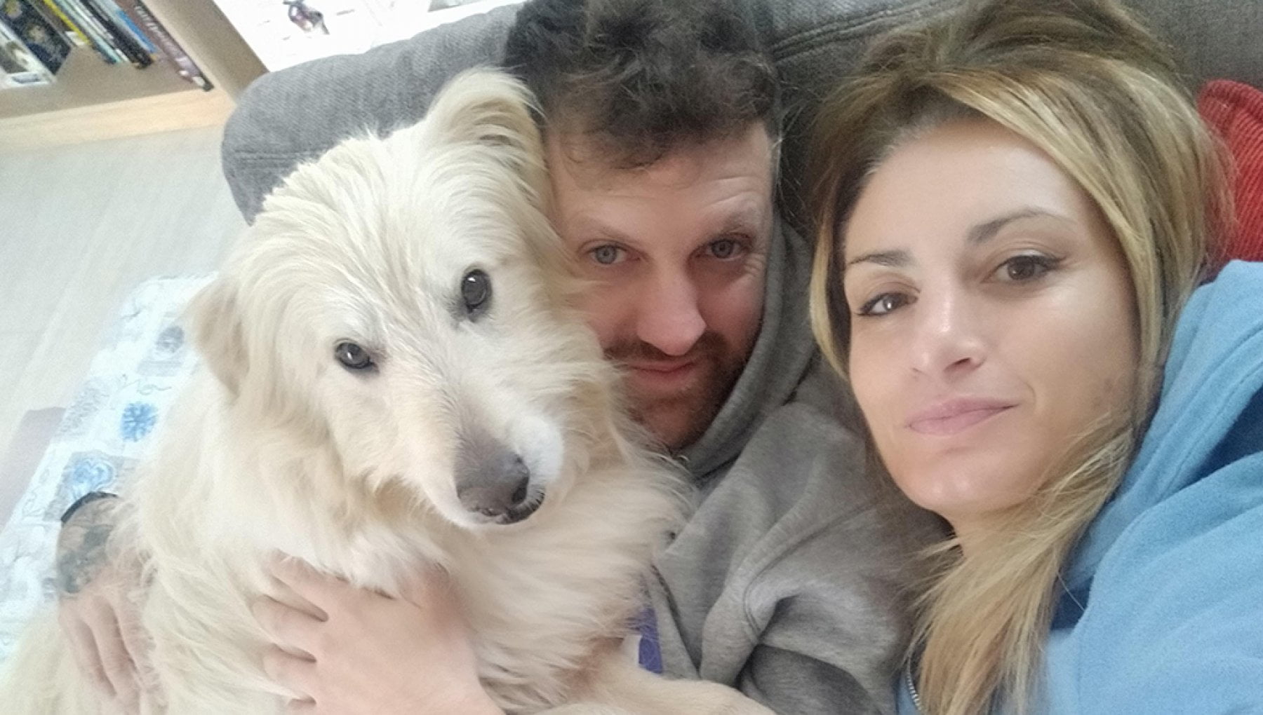Dalla catena al collo a un comodo divano: le due vite del cane Ted - La ...