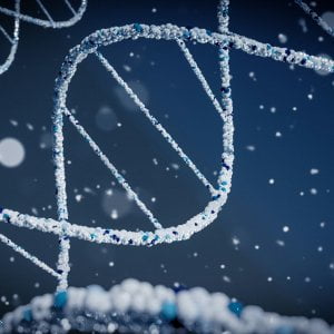 Tumore del colon, passi avanti nella terapia di precisione