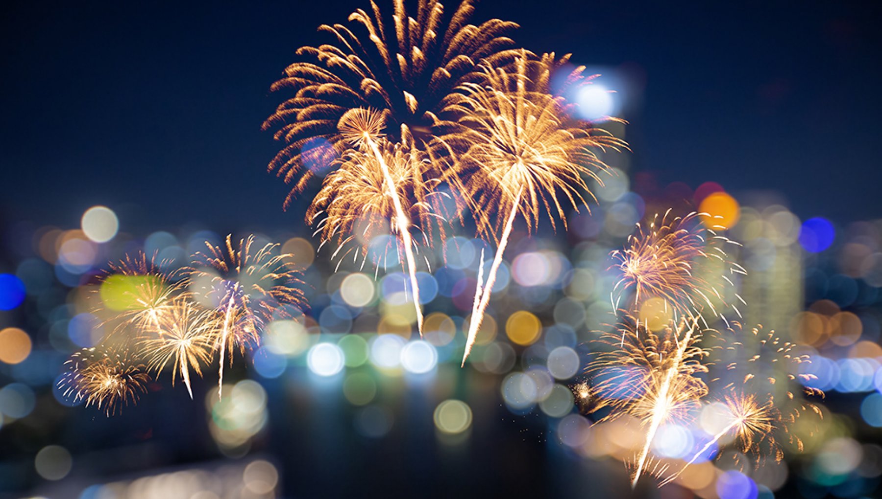 Roma, fuochi d'artificio vicino al Bioparco e al centro recupero fauna ...