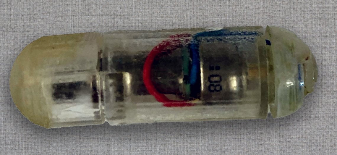 Un'immagine della pillola che vibra testata al MIT (Credit: Courtesy of the researchers, MIT News)