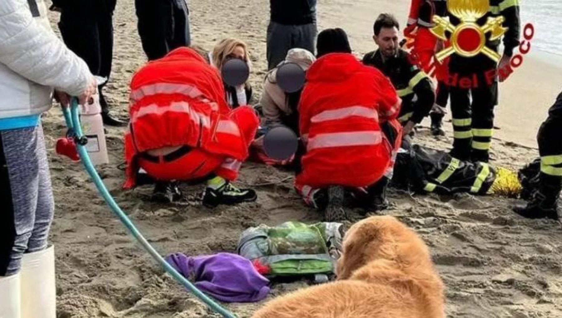 Si tuffa in mare a Viareggio per salvare il suo cane e rischia di ...