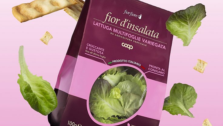 "L'insalata che non c'era" adesso è nei supermercati