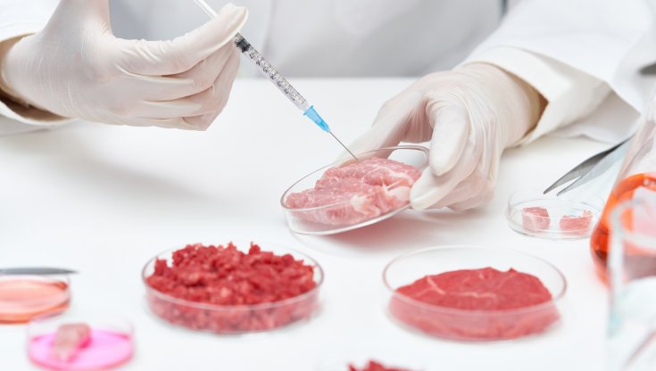 Carne coltivata bovina: Israele (primo Paese al mondo) ne autorizza la vendita