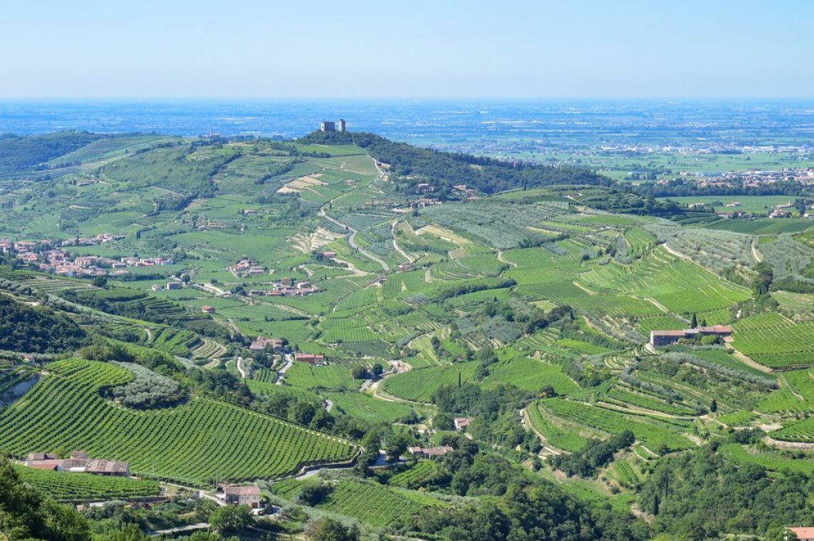 &nbsp;I vigneti della Valpolicella