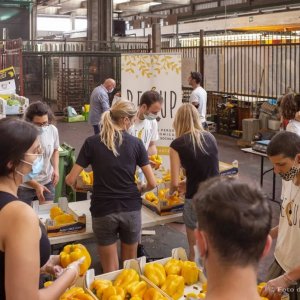 Lotta allo spreco alimentare: le associazioni che aiutano a recuperare il cibo