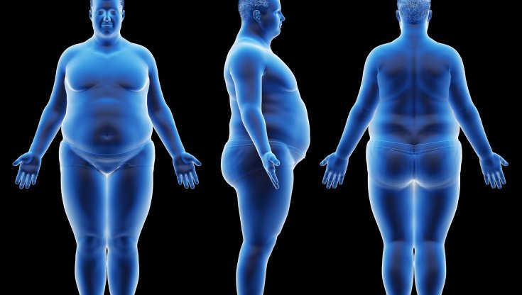 Obesità, ecco le malattie che può scatenare 