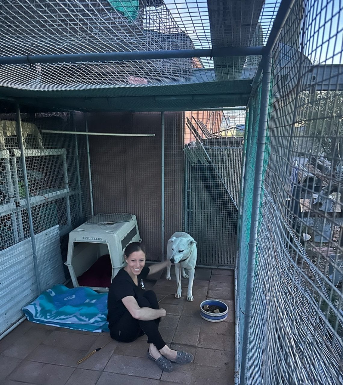 Il commovente salvataggio di Ghost, il cane che ha vissuto per nove ...