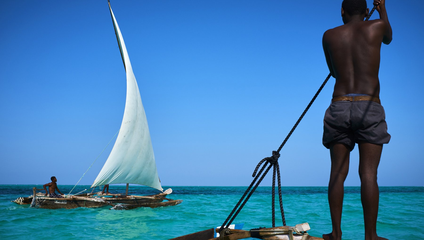 Zanzibar, mangiano carne di tartaruga marina: morti otto bambini e una ...