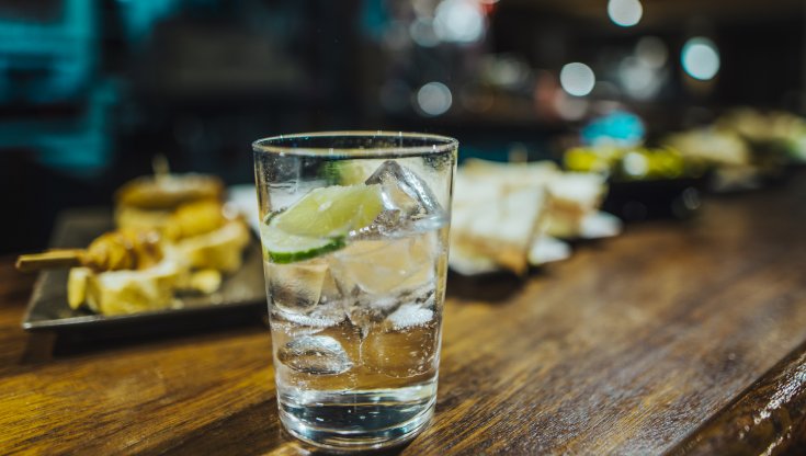 Fever Tree, l'acqua tonica che voleva essere un gin