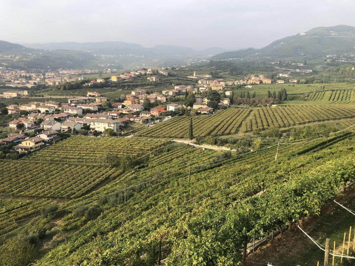 L'azienda agricola Quintarelli