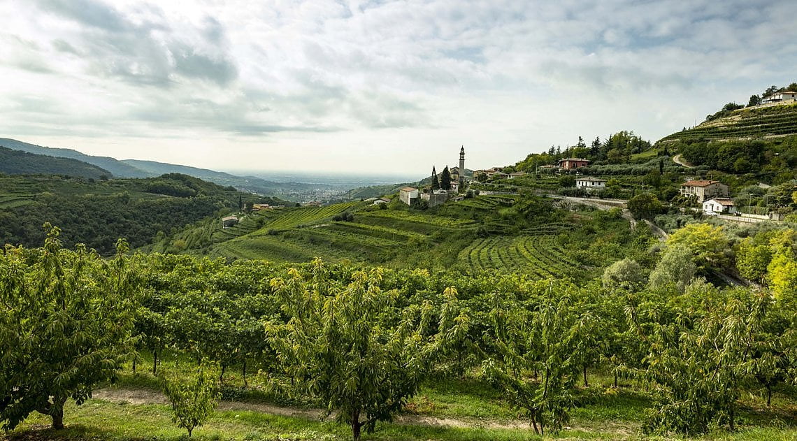 Cantina Bolla