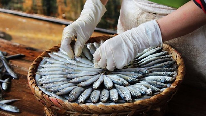 I migliori quattro artigiani, solo uno sar&agrave; premiato dal Gusto