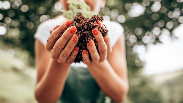 I paladini della sostenibilità: quale dei quattro salirà sulla mongolfiera del Gusto?