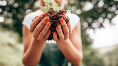 I paladini della sostenibilit&agrave;: quale dei quattro salir&agrave; sulla mongolfiera del Gusto?