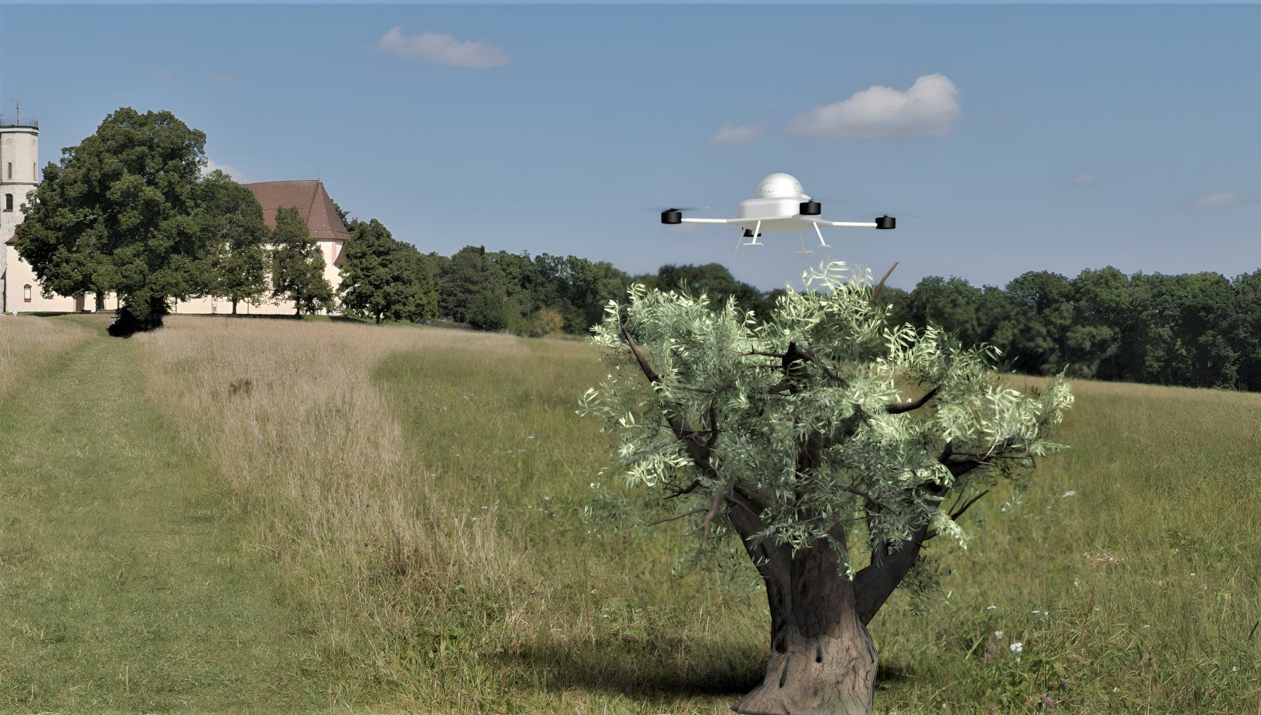 Zeytin hasadına yardımcı olan drone Olivair: Yenilikçi kadınlara örnek