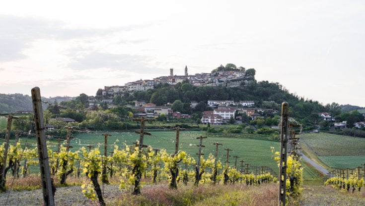 Bollicine e grandi rossi, il Monferrato si veste di Golosaria 