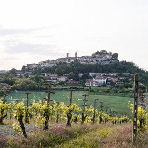 Bollicine e grandi rossi, il Monferrato si veste di Golosaria 