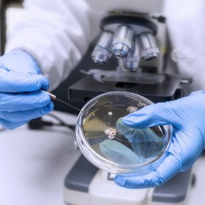 Streptococco come l'influenza, boom di casi tra i bambini. Ciccozzi: "Ma non è colpa delle protezioni anti-Covid"