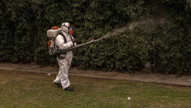 Dengue l'allarme Oms: "Da giugno rischio infezioni autoctone in Europa"