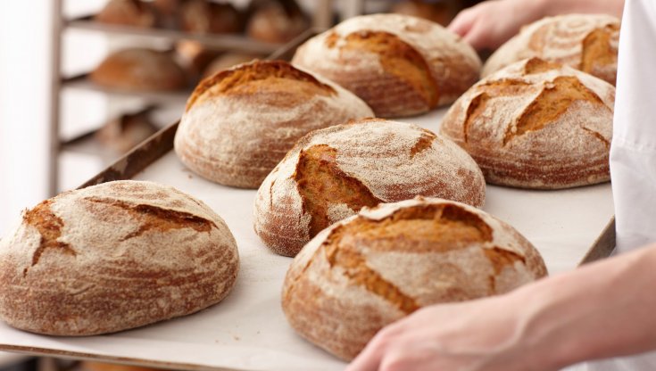 "Fare il pane è un atto politico": va in scena il raduno dei fornai