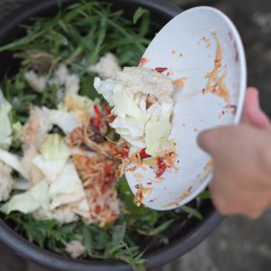 In Italia 7,8 milioni di tonnellate di CO2 all'anno legate a spreco alimentare