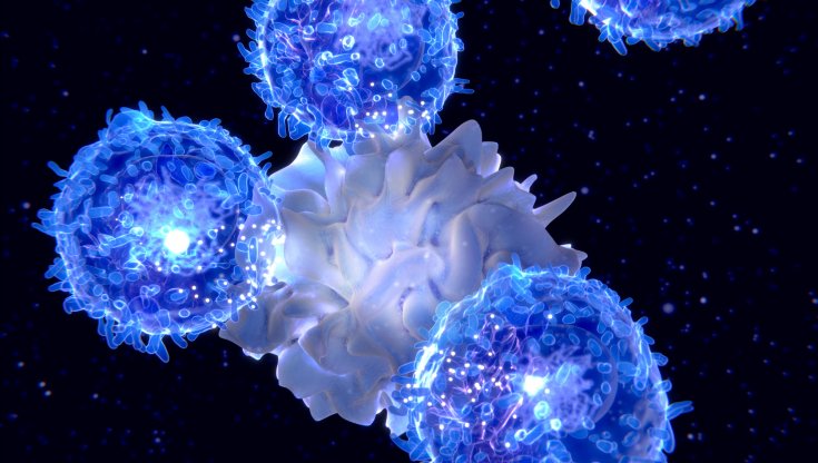 Cellule del sistema immunitario (JUAN GAERTNER/SCIENCE PHOTO LIBRARY/Getty Images)
