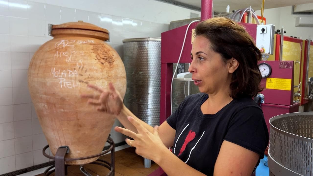 In cantina con Maria Ernesta Berucci: “Seguendo la via dei grappoli ...