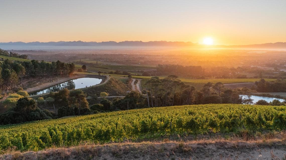 Le vigne della cantina @Klein in Sudafrica