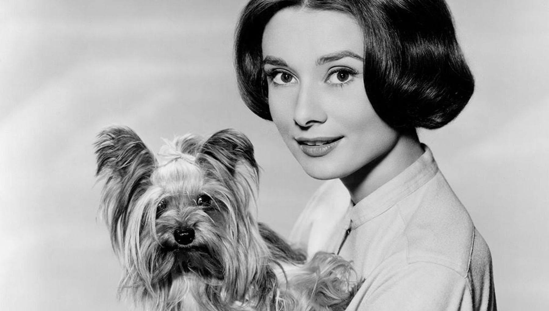 KUSTOM ART Set Di 3 Quadretti In Legno Stile Vintage: Iconica Audrey Hepburn - Fatto A Mano In Italia