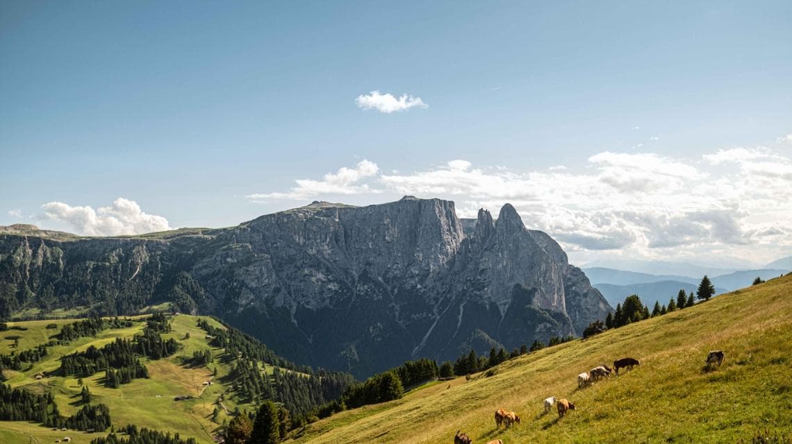 La bellezza senza tempo della Valle Aurina (@IDM Südtirol-Alto Adige/Patrick Schwienbacher)
