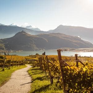 Alla scoperta della Strada del Vino dell'Alto Adige
