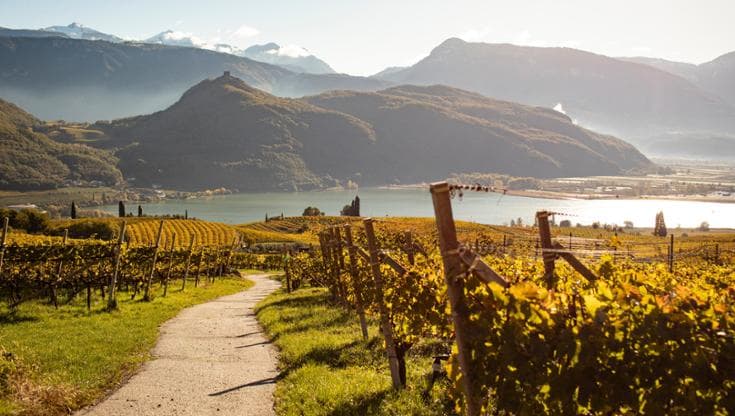 Alla scoperta della Strada del Vino dell'Alto Adige