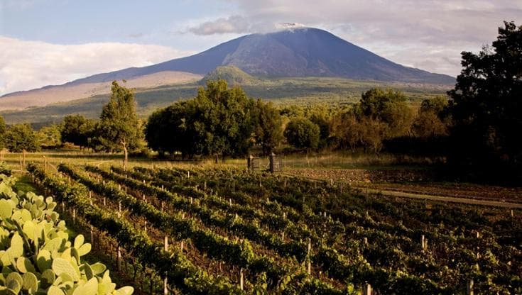 L’Etna salva la vendemmia: “Sarà ottima, battuta la siccità grazie al vulcano”