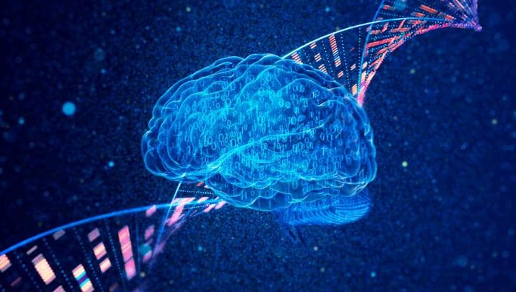 Alzheimer, studio italiano scopre ruolo proteina chiave e apre nuove prospettive per terapie e diagnosi