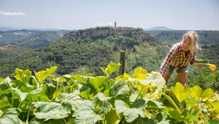 La nuova frontiera della sostenibilità? È l’agroecologia