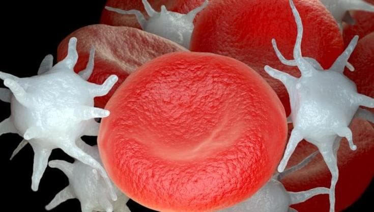Linfoma mantellare: Aifa approva nuova terapia mirata
