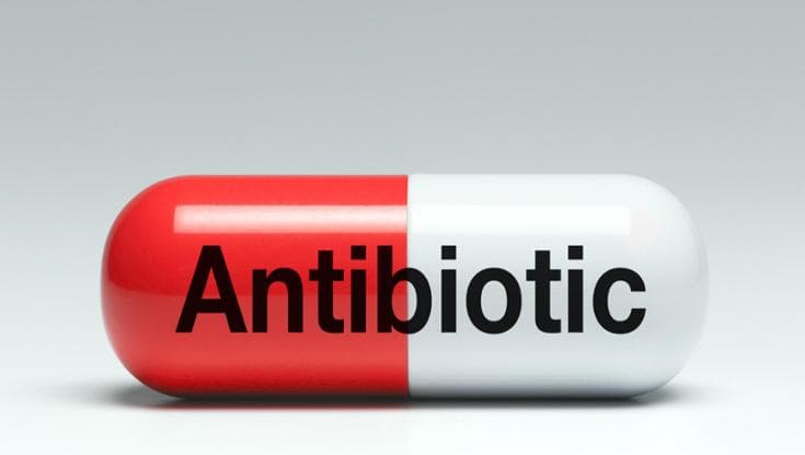 La strategia del buttafuori: ecco come i batteri diventano resistenti