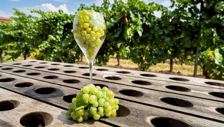 Franciacorta, un vino formato esportazione (a fianco della Michelin)