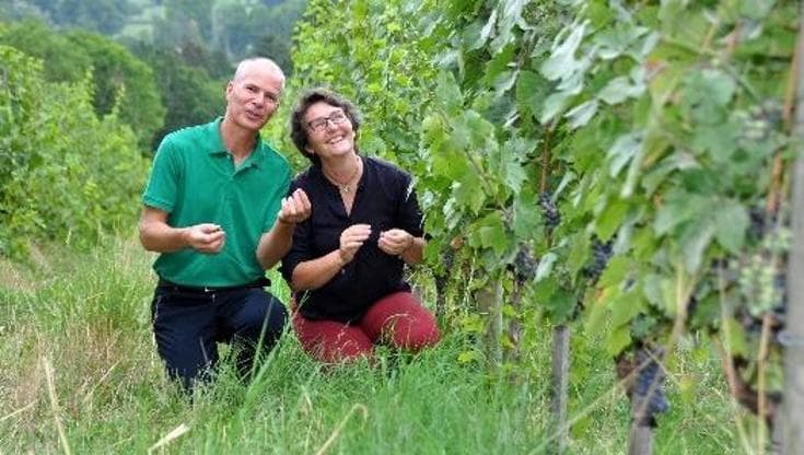 Régis Anouil, viticoltore insieme alla moglie Aude-Reine nella Loira (@domaine-labenissondieu)