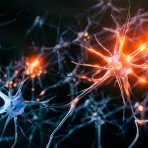 Dalle cellule staminali la prima terapia sperimentale contro il Parkinson