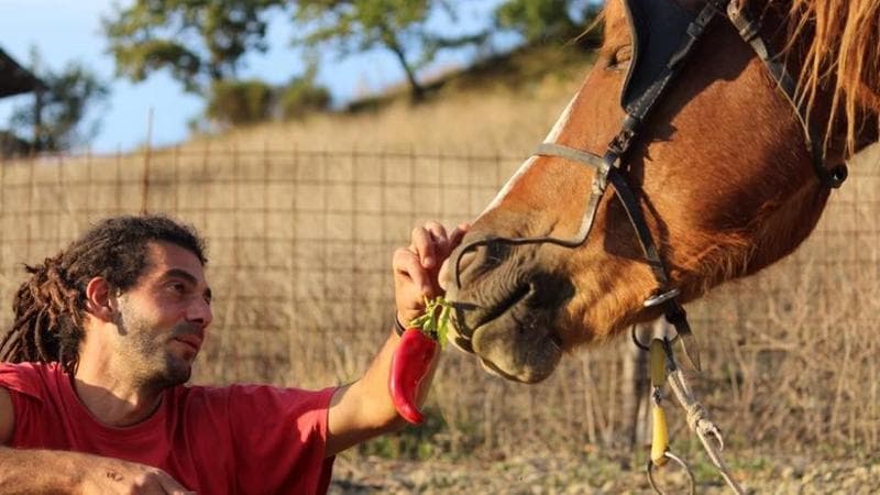 In Umbria c’è un Orto “coltivato” dai cavalli
