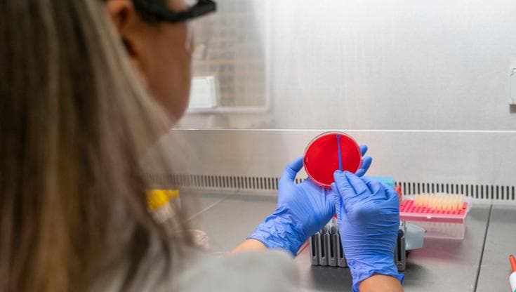 Vaccino per la meningite, va fatto il richiamo?