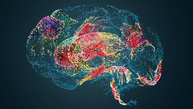 Covid, filmata l'invasione del virus nel cervello: ecco perché i sintomi durano a lungo