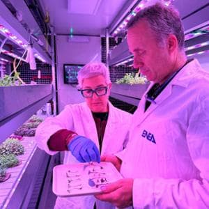 L’insalata del futuro arriva dallo spazio
