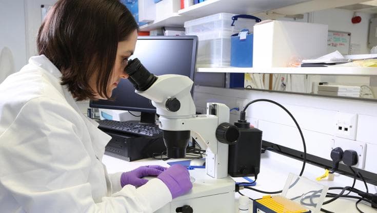 Tumore al seno “ereditario”, confermata l’efficacia del farmaco mirato