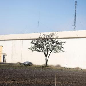 Oltre quel muro c’è un orto che fa rinascere l’essere umano