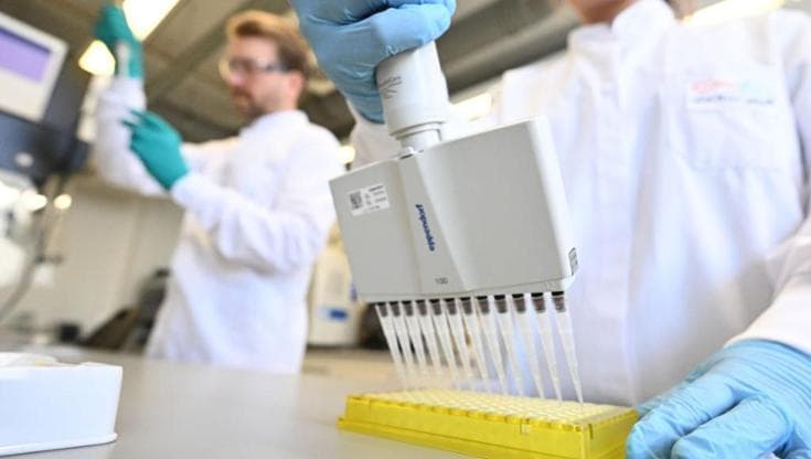 Tumori, da un virus nato in laboratorio una nuova strada per le terapie