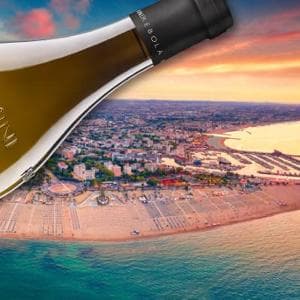 Rebola e Sangiovese, il piacere moderno della Rimini da bere