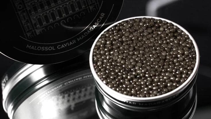 Il caviale pregiato africano che arriva dal Madagascar e costa 11mila euro al chilo
